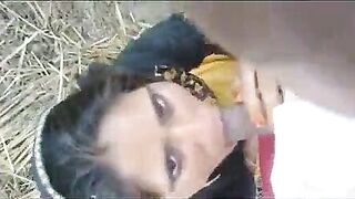 Rajasthani Bhabhi sucked cock after taking money Video. XXX Hindi BF Videos XXXXX sex video - Indian Porn videos, Desi Blue Films, XXX Mms Clips